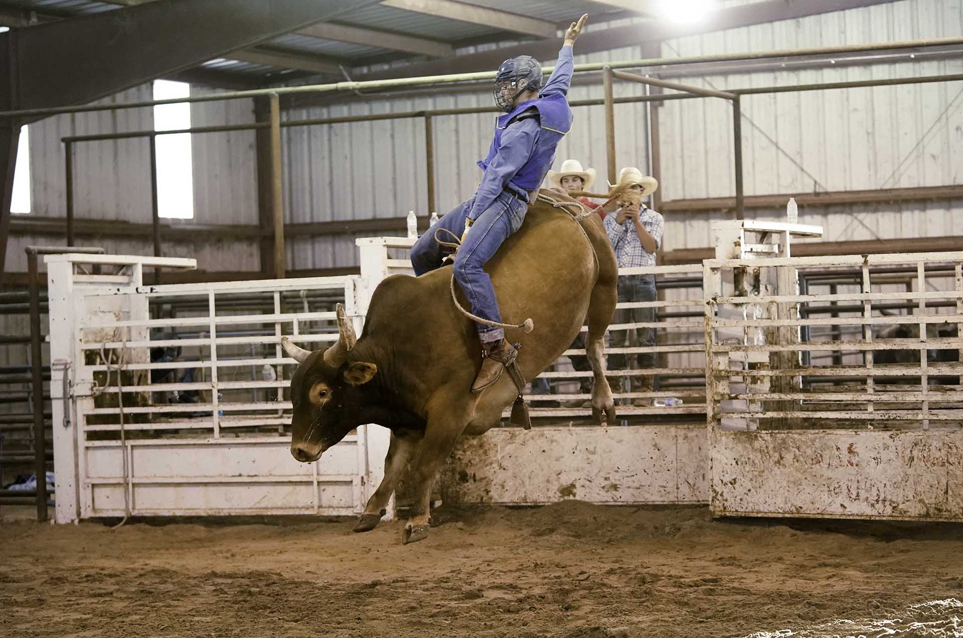 casey reis bull ride