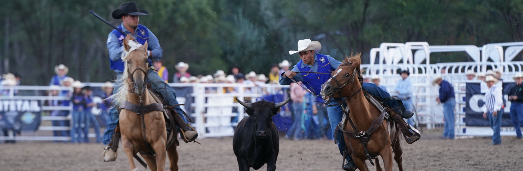 MPCC Rodeo